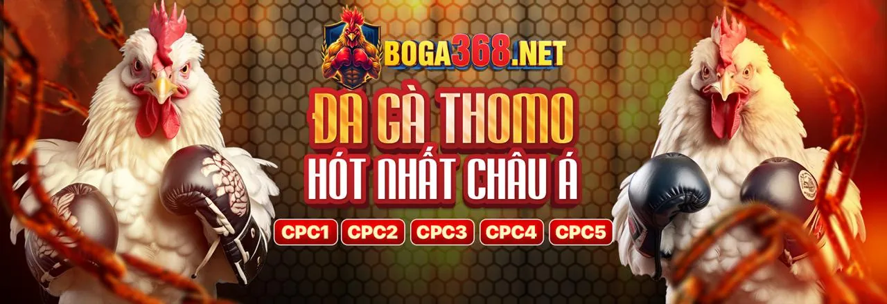 Chiến thuật cá cược thể thao hiệu quả tại Onebet88