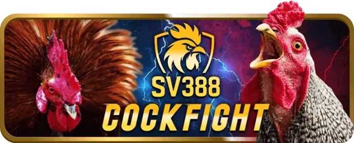 Câu hỏi thường gặp về cờ bạc có trách nhiệm tại Onebet88